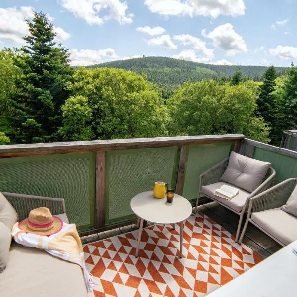 Erzgebirge Suite Gipfelgrün, hotell i Kurort Oberwiesenthal