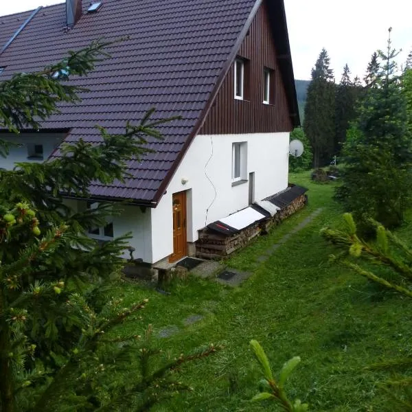 Ubytování Lyžařská škola, hotel v Kubově Huti