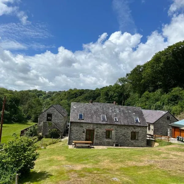 Troedyrhiw Holiday Cottages, hotel in Cardigan