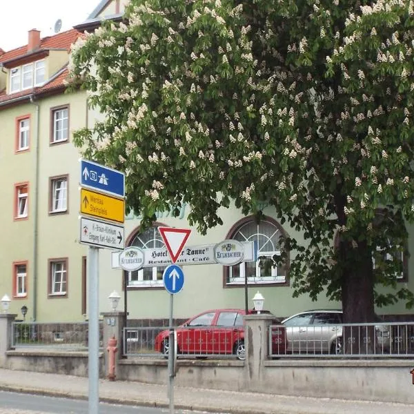 Hotel Pension zur Tanne, hotel v destinaci Zwickau