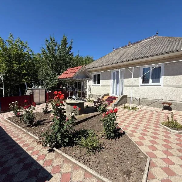 EthnoVilla - A comfortable Moldovan house for a peaceful and relaxing stay Молдавский, уютный дом для отдыха, hotel in Trinca