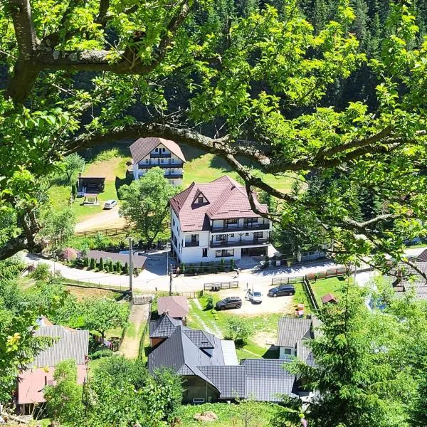 Pensiunea de la Rau Moieciu de sus, hotel in Moieciu de Sus