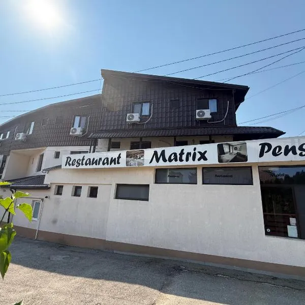 Pensiune Matrix, hotel v destinaci Curtea de Argeş