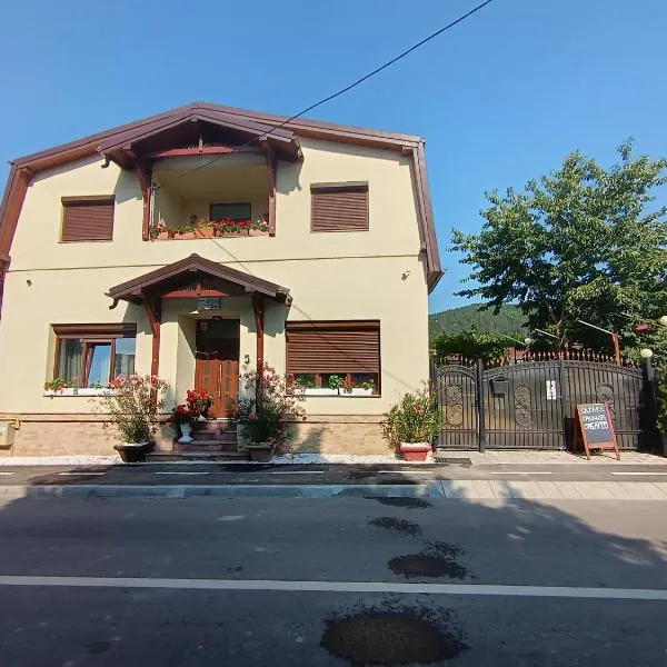 Pensiunea Mihaita, hotel in Tîrgu Ocna