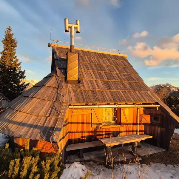 Koča Velika Planina - Chalet Kamrica, khách sạn ở Stahovica