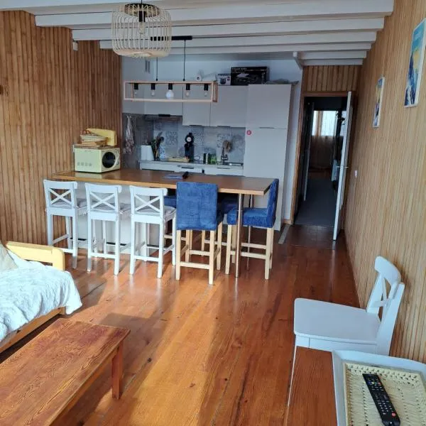 Logement 48m2- 2 chambres, hotel a Orcières