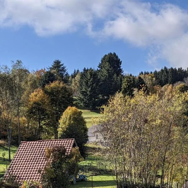 Chez Sophie et Michel à Fréconrupt, hotel v destinácii La Broque