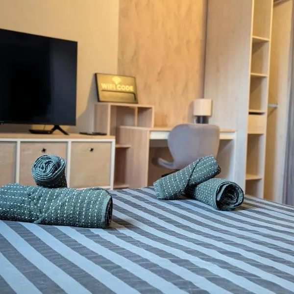 Petit appartement 1 Le charmant، فندق في ساريجومين