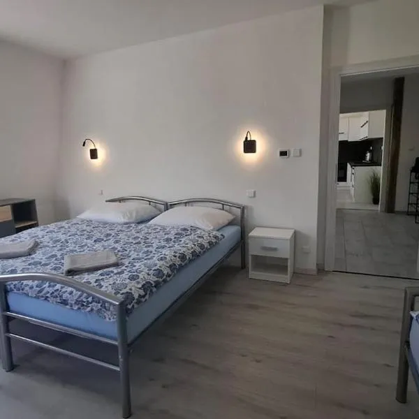 Masarykova apartmens 8、テプリツェのホテル