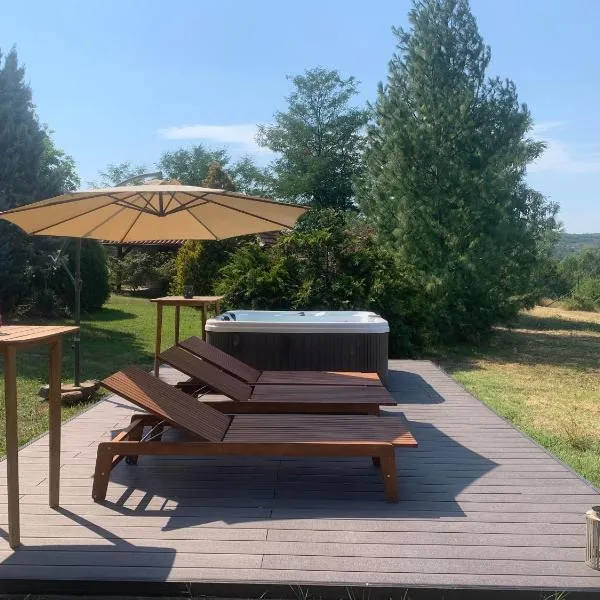 Vila Timok, hotel v destinaci Zaječar
