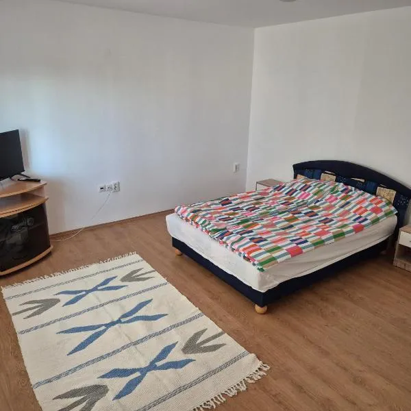 Wolf Apartments, hotel in Sângeorgiu de Mureș