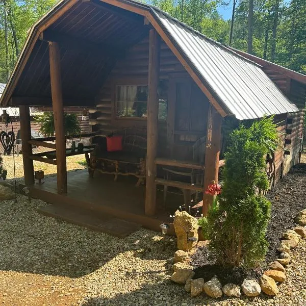 Big Bear Log cabin, hotel v destinaci Cosby