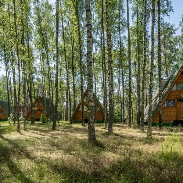 Domki letniskowe w lesie nad jeziorem - Kaszuby, Ośrodek Wczasowy KLIF, hotel in Wdzydze Kiszewskie