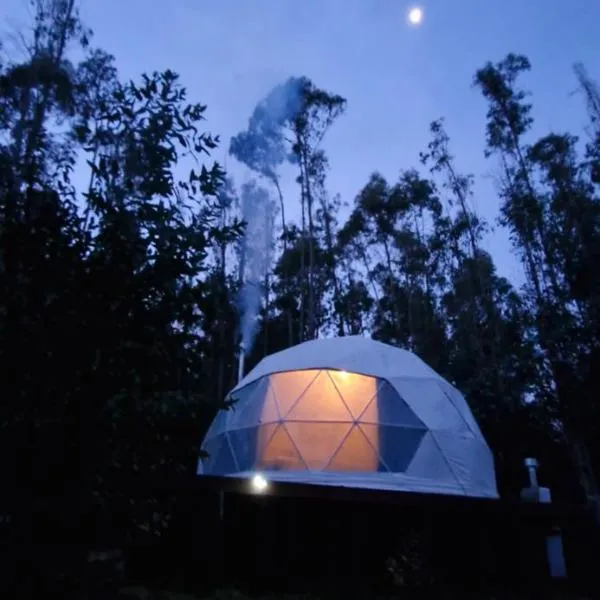 Domo con opcion a tinaja en medio del bosque, hotel di Pitrufquén