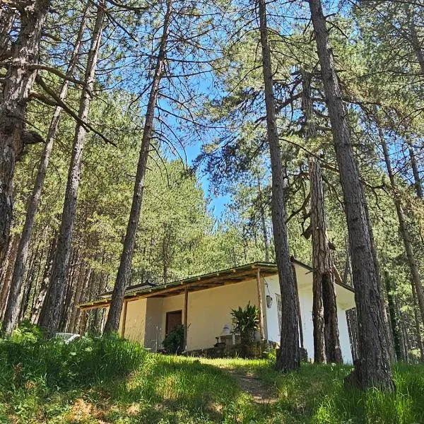 Bujtinat Skenderi Gjinar 2, hotel v destinaci Gjinar
