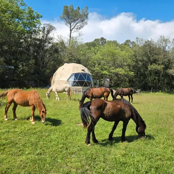 Viesnīca La Cabane aux Chevaux pilsētā Varages