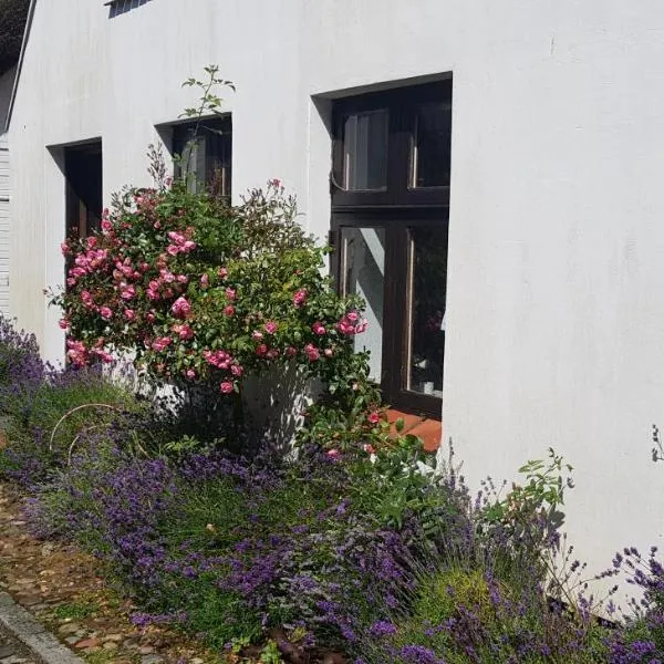 Fischerstern, hotel en Maasholm