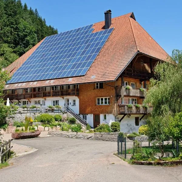 Müllerjörgenhof, hotel v destinaci Gutach