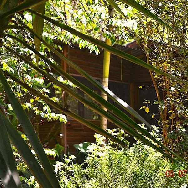 Wild Wonderful Family-Friendly Jungle Like Oasis in San Ignacio Belize, hotel v destinaci San Ignacio