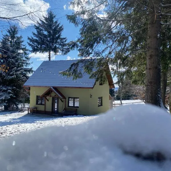 Bencekerti kulcsosház, hotel v destinaci Căpîlniţa