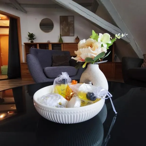 Le grain noble de Wissembourg, hotel v destinaci Wissembourg