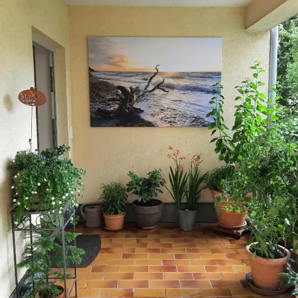 Ferienwohnung Central、ロストックのホテル