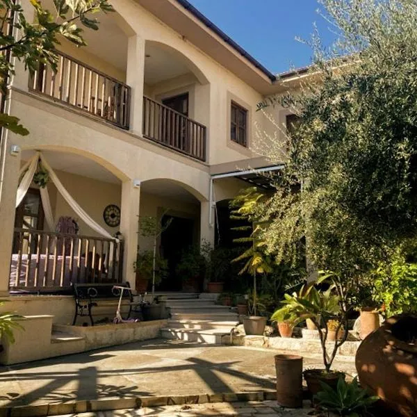 Olive Tree House, hotel in Anoyira