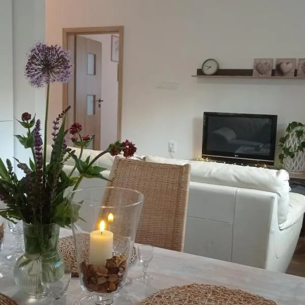 Apartmán v Podhradí Boskovice, hotel in Blansko