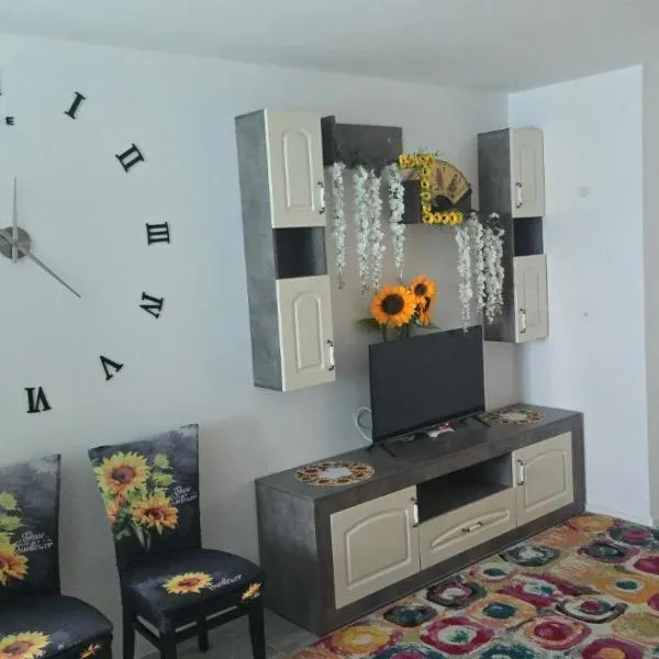Къща в центъра, hotel in Dobrich