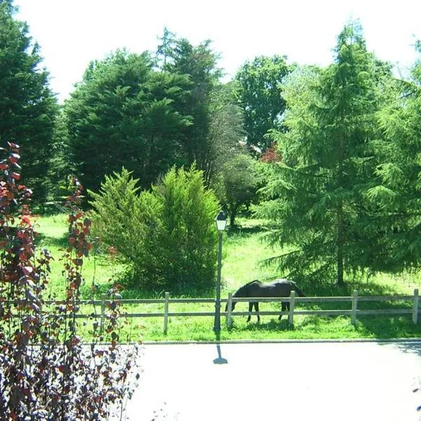 Posada Casa de Julia, hotel a Villabáñez