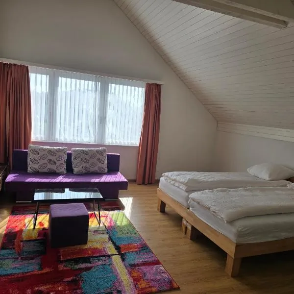 Landgasthof zum Zimmermann Jona - Rapperswil, hotell sihtkohas Jona