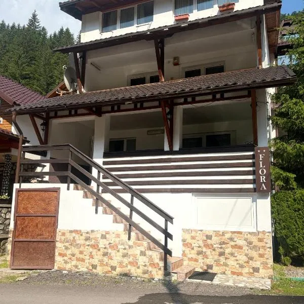 Pensiunea Flora - PISCUL NEGRU, ξενοδοχείο σε Cumpăna