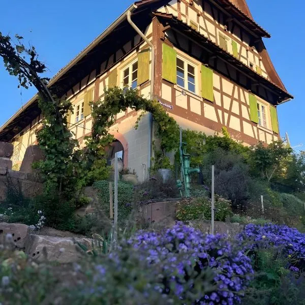 Fewos Weingut Pieper Basler, hotel in Offenburg