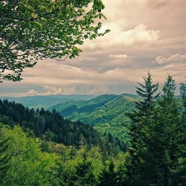 A Mountains Suffer Hotel Kasauli, hotel in Kasauli