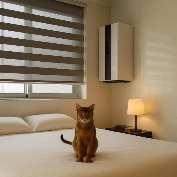 Glow House Seongsu A - Cozy and Brown Cat 외국인전용, hotel in Seoul