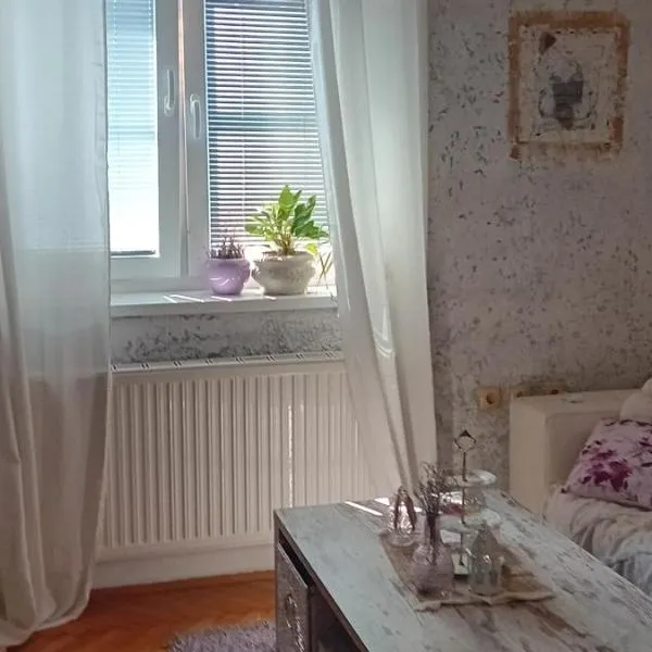 Apartment THEA 100m2 with 2 bathrooms for 5 guests, hôtel à Mrše