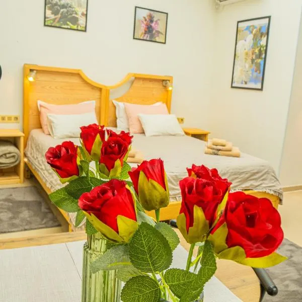 Teatar Rooms Subotica 3, hotel in Subotica