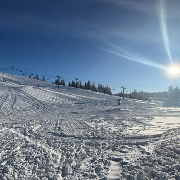 Studio pied des pistes Les Gets - 4 pers rénové: Les Gets şehrinde bir otel