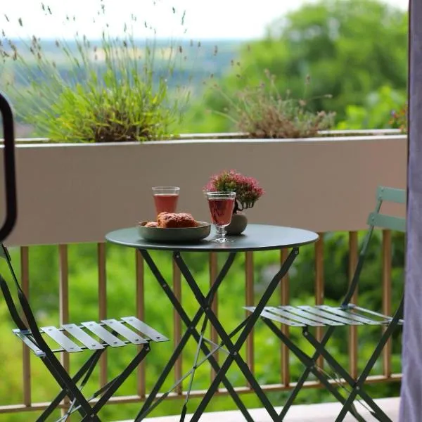 STUDIO au cœur des châteaux et du Zoo de Beauval, hotel v destinaci Montrichard
