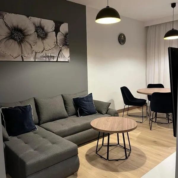 Apartament HALLERA, hotel in Pleszew