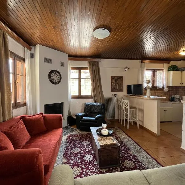 Arachova - Downtown Exclusive Apartment、アラコバのホテル