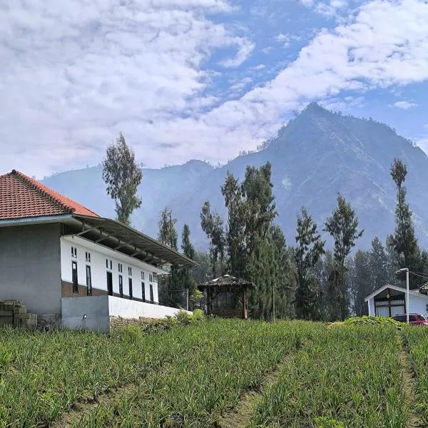 Elen Homestay by ABM, hotel in Bromo