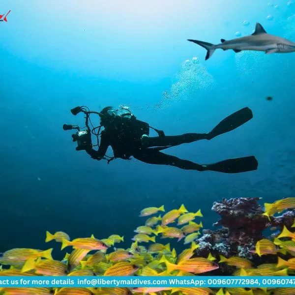 Liberty Guesthouse Maldives, hotel v destinaci Mahibadhoo