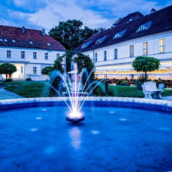 Hotel Nysa, hotel in Nysa