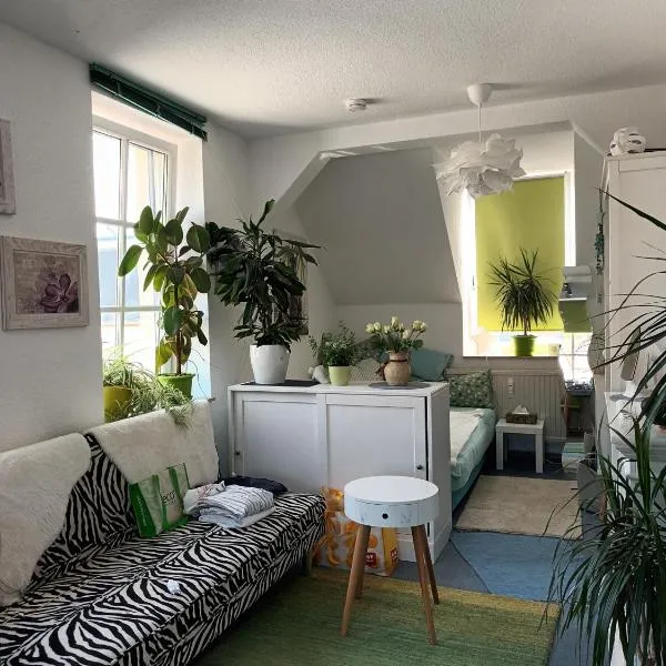 Gästewohnung "Am Otto-Dix-Haus", hotel a Gera