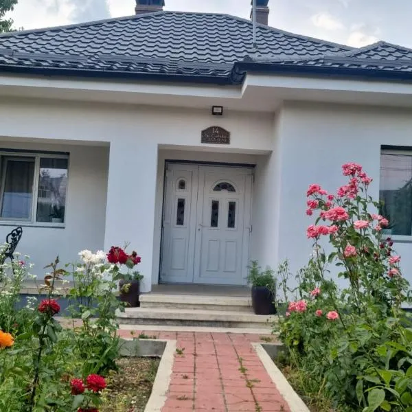 Casa Jeni, hotel v destinaci Humuleşti