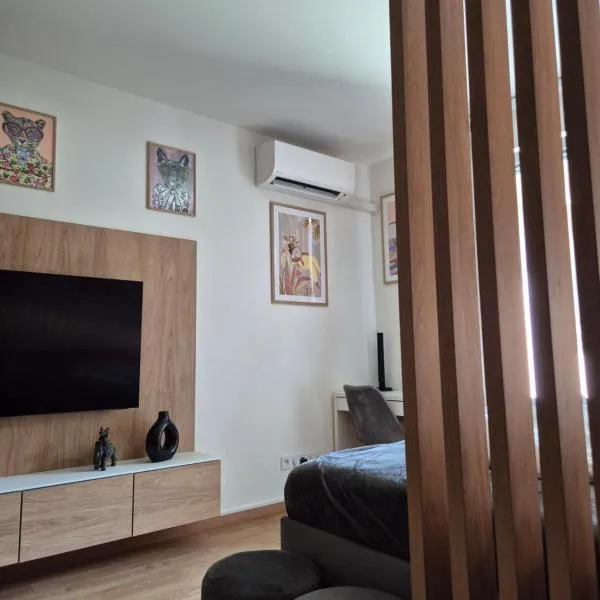 Alfa Albelli Free Parking Air Condition، فندق في كوشيتسه