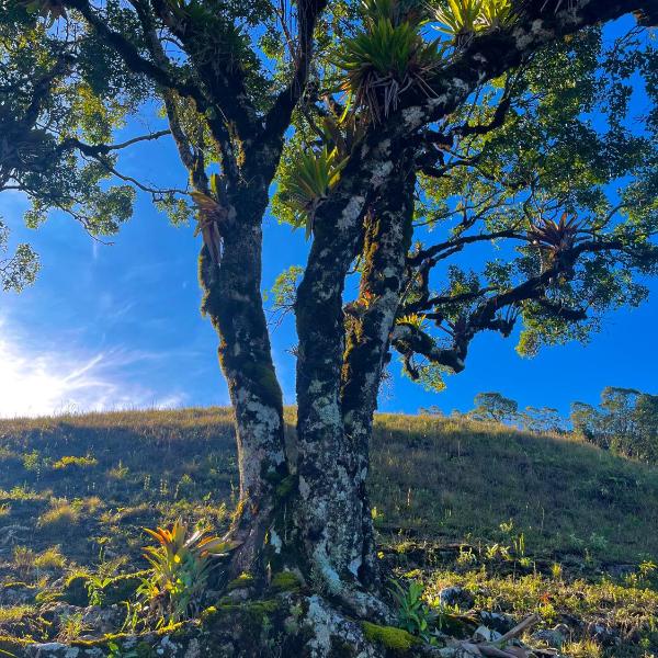 Sítio das montanhas - Foto 4