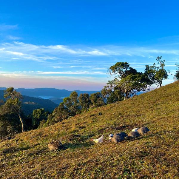 Sítio das montanhas - Foto 5