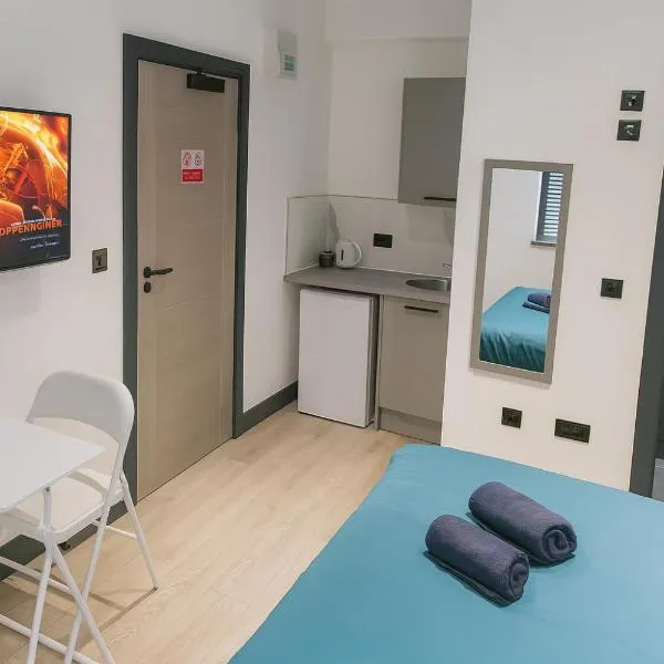 12 London Deluxe Studios, hotel in Streatham Vale